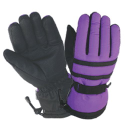 Ski Gloves